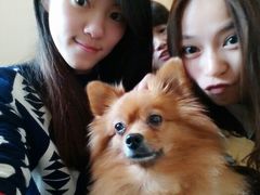 android_upload_pic-A+摄影