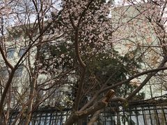 -北京师范大学附属中学