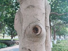-白塘生态植物园