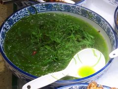 爽口海藻-烁佳海鲜大馅饺子