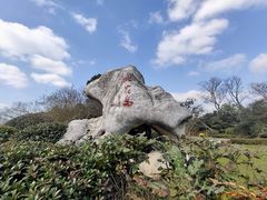 -桃花岛景观公园