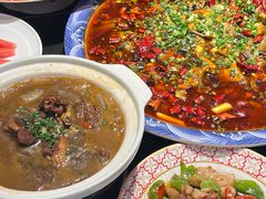 -新概念来凤鱼(璧山店)
