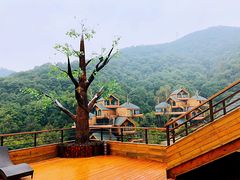 -杭州开元森泊度假乐园