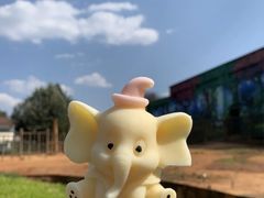 -昆明动物园