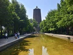 -玲珑塔公园
