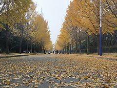 -西北农林科技大学(北校区)