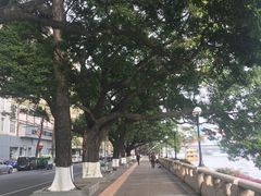 -珠江夜游西堤码头