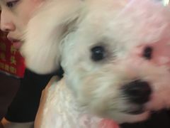 -嘉善路(地铁站)