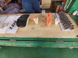 点击看大图 -萌宠亲子动物乐园(槐房万达店)