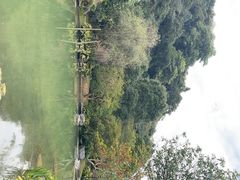 -云溪植物园