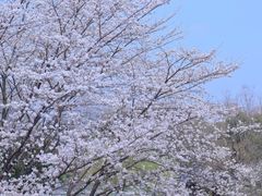 -堤角公园