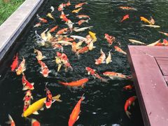 -曼谷铂尔曼皇权酒店