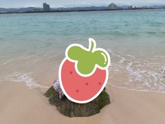 -三亚蜈支洲岛旅游区