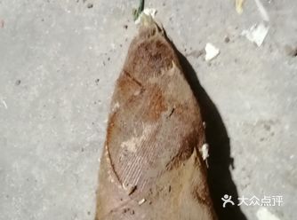春天正是吃笋的好季节 几场春雨过后，山上那些刚冒出来