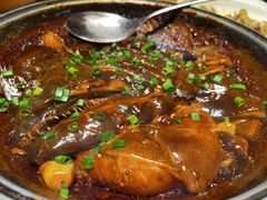 砂锅碟鱼头-双合园·海鲜水饺青岛菜(品牌首店)