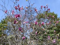 -广州市流溪河国家森林公园