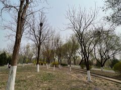 -永定河休闲森林公园