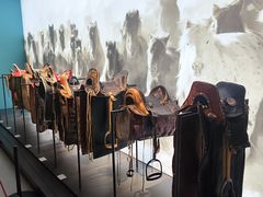 -呼伦贝尔民族博物馆