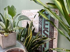 -旧天堂书店(华侨城创意文化园南山特色文化街区店)
