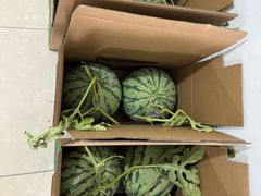 -南汇水蜜桃采摘(大团店)