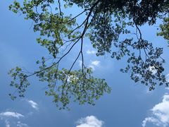 -福建天门山