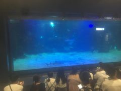 -石家庄海洋公园