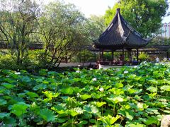 -上海醉白池公园