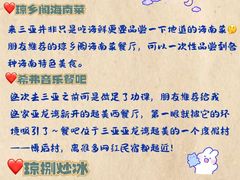 -三亚太阳湾柏悦酒店