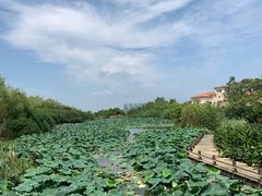 -艾溪湖湿地公园