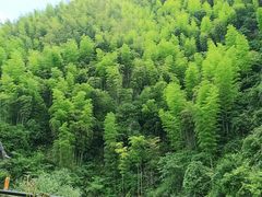 -将军关探险漂流