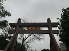 -龙井村