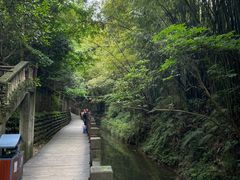 -凤栖山
