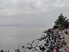 -深圳湾公园(南山区)