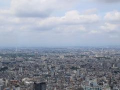 -东京都厅舍