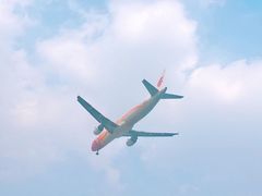 -空港花田景区