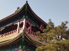 -天津大悲禅院