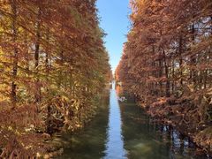 -上海海湾国家森林公园