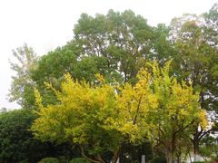 -云龙湖旅游景区