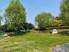 -两河城市森林公园