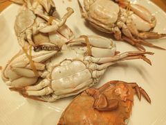 -视界美食自助餐厅·石家庄希尔顿酒店