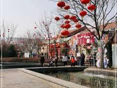 -南宫五洲植物乐园