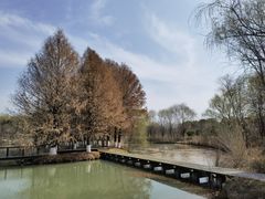 -苏州太湖国家湿地公园