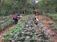 -白鹭湾湿地公园