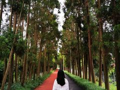 -上海长兴岛郊野公园