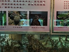 -上海昆虫博物馆