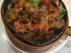 -陈麻婆豆腐总店