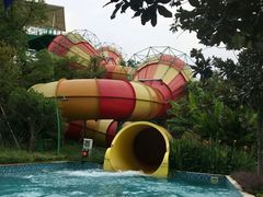 -苏州乐园森林水世界