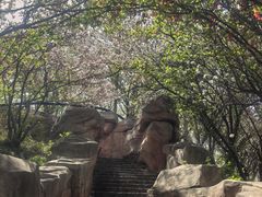 -石家庄市植物园