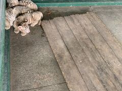 -秦皇岛野生动物园