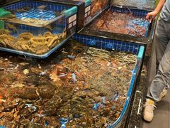-东海怡品海鲜豆捞(舟宿夜江店)